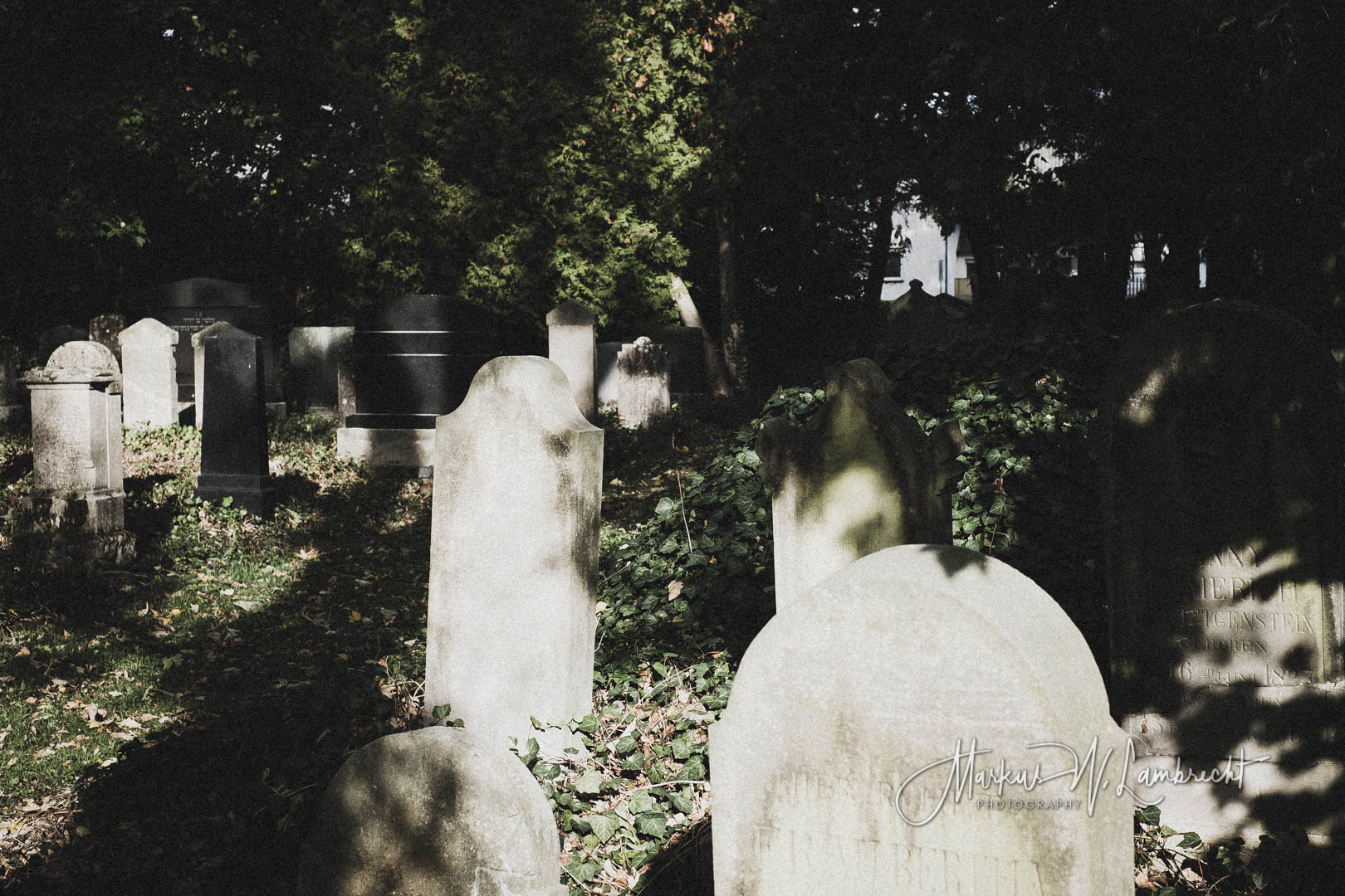 Steinheim (Westfalen), Jüdischer Friedhof